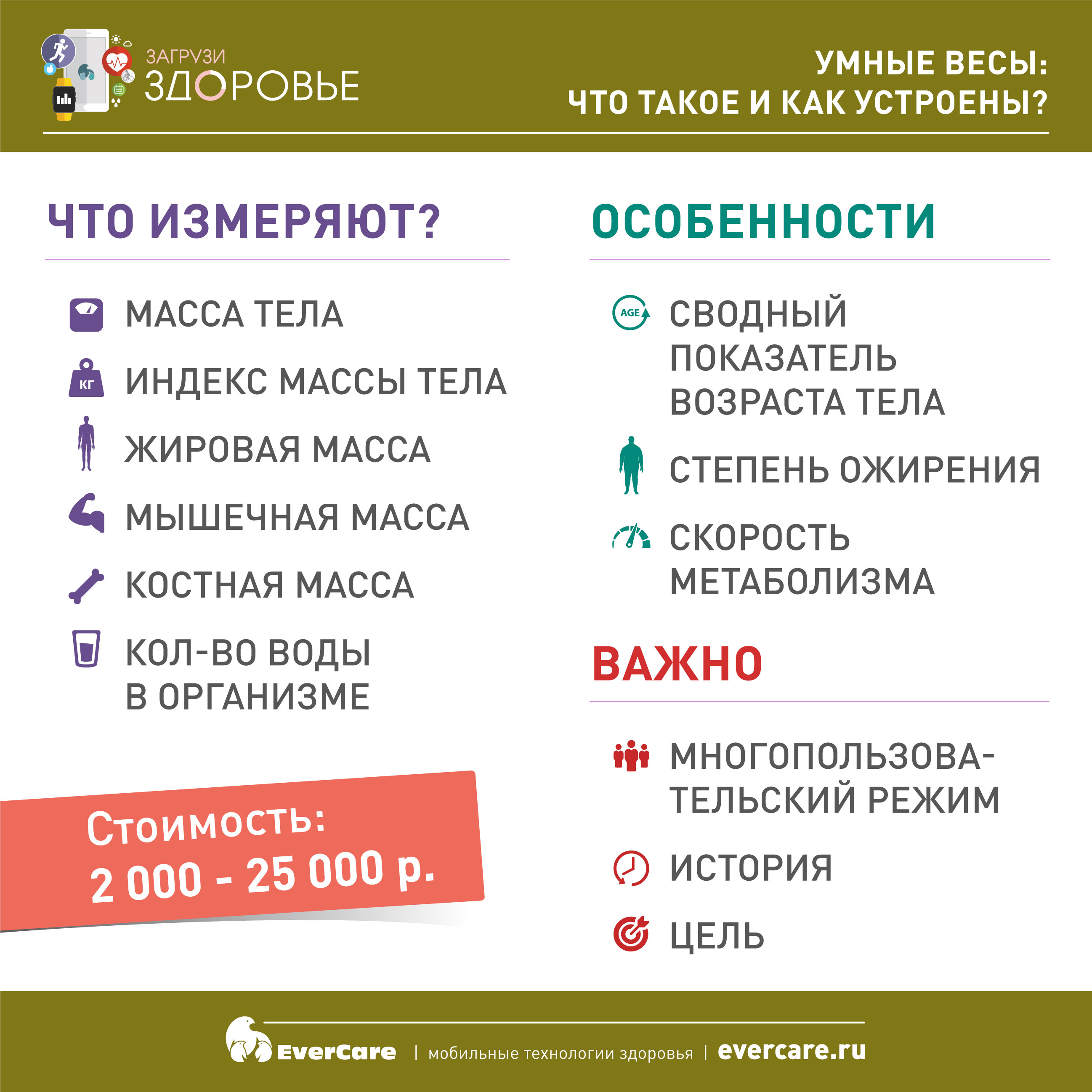 Сколько весит папка: разбор популярных типов папок и их средний вес